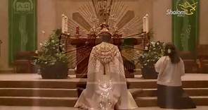 Eucharistic Adoration: St. Stephen Catholic Church