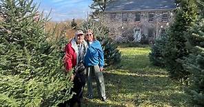 Christmas tree farm in Lopatcong is for sale, but remains open for the 2021 season