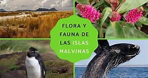 Flora y Fauna de las Islas Malvinas - Nombres, FOTOS y VÍDEO