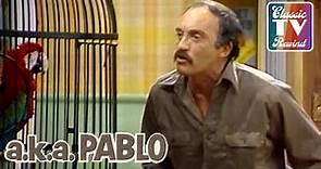 a.k.a. Pablo | Domingo Isn't Happy With Pablo's Job | Classic TV Rewind