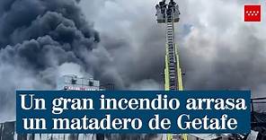 Un incendio arrasa un matadero de Getafe y obliga a desalojar numerosas naves por el humo