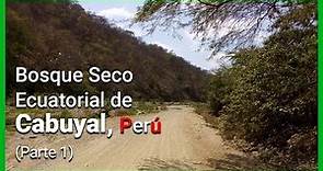 Visitando el Bosque Seco Ecuatorial de Cabuyal 2018, Pampas de Hospital, Tumbes - Perú (Parte 1)