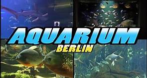 AQUARIUM Berlin - Zoo Berlin - Germany (4k)