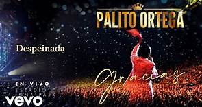 Palito Ortega - Despeinada (En Vivo Estadio Luna Park)
