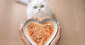 Show Your Cat Love with Chef-Inspired Gourmet Cat Food - Fancy Feast