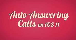 Auto Answer Phone Calls on iOS 11 - iPhone and iPad (How to?)