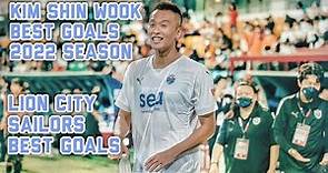 Kim Shin Wook Best Goals 2022 Season | Lion City Sailors best goals |Singapore Premier League Goals