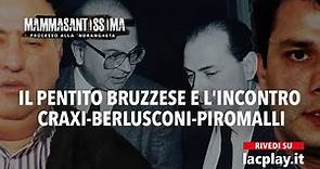 "Piromalli incontrò Craxi e Berlusconi" - Mammasantissima