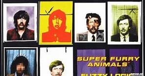 Something 4 The Weekend - Super Furry Animals