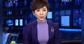 央视news欧阳夏丹