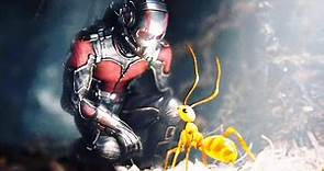 Ant-Man 1+2 (2018) Film Explained in Hindi/Urdu | Ant Man and Wasp Both Summarized हिन्दी