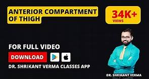 95. ANATOMY, Anterior compartment of thigh, Lower Limb by Dr. SHRIKANT VERMA CLASSES