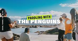 Paddling with the Penguins