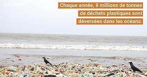 9 gestes pour limiter la pollution plastique dans les océans