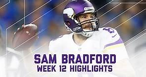 Sam Bradford | Vikings vs. Lions | NFL Week 12 Player Highlights