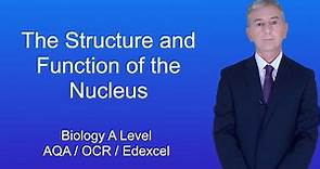 A Level Biology Revision "The Structure and Function of the Nucleus"