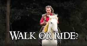 Travelling on a horse: How does being on a horse compare to walking on foot?