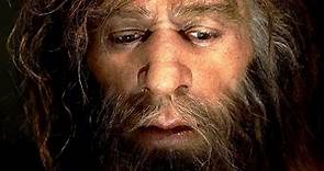 Homo Neardenthalensis - Hombre de Neanderthal Origen, características, alimentación y Herramientas - SobreHistoria.com