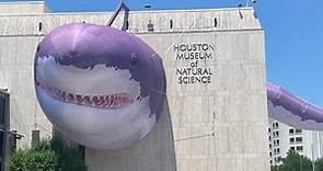Houston Museum of Natural Science - Dinosaurs, Mummies, Precious Stones, and Taxidermy