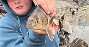 Fishing in Wisconsin Dells! Newport park, and Mirror Lake State Park