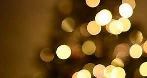 Free HD Stock Christmas Tree Lights Blinking Blurred Abstract Bokeh 1080