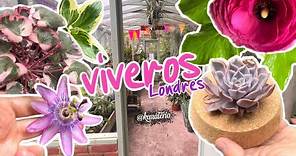 Battersea Flower Station | Viveros en Londres | Nurseries London | Viveros | Flowers | Flores