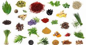 English Vocabulary - HERBS and SPICES