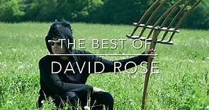 the best of: David Rose