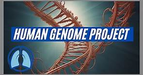 Human Genome Project Explained