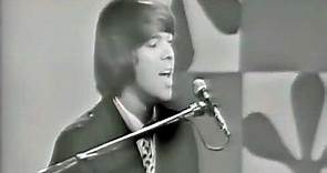 NEW * Dirty Water - The Standells {Stereo} 1966