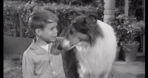 Lassie - Episode #258 - "The Mysterious Intruder" - Season 8 Ep. 3 - 09/24/1961