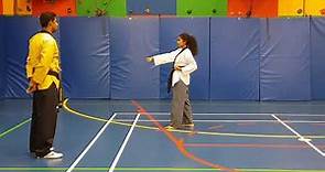Taekwondo Poomsae 1