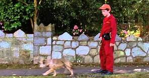 Good Boy! Official Trailer #1 - Molly Shannon Movie (2003) HD
