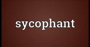 Sycophant Meaning