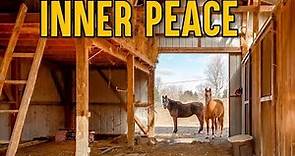 INNER PEACE on 10 acres, Multigenerational House, Barn, Pond, Creek, Lexington, Kentucky Real Estate