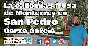 La calle mas fresa de Monterrey en San Pedro Garza García. MTY