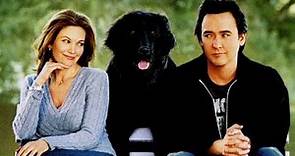 Must Love Dogs Full Movie Facts And Review | Diane Lane | John Cusack