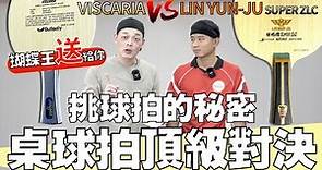 挑選桌球拍的訣竅 VISCARIA VS LIN YUN JU Super ZLC