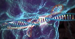 Genome Editing with CRISPR-Cas9