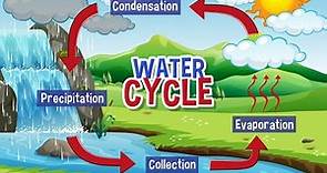 how the water cycle works | hydrological cycle explained