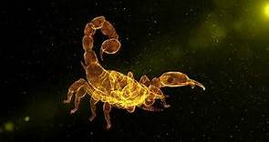 The Mysterious Lives of Scorpions: 10 Astonishing Facts