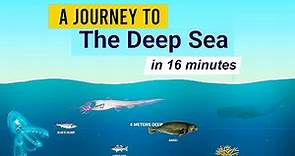 A Journey to THE DEEP SEA by Neal Agarwal | Neal.fun