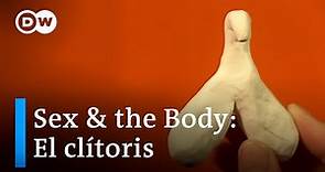 Sex & the Body | El clítoris y su tamaño