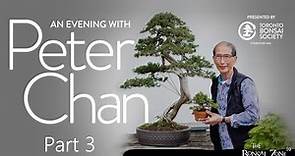 An Evening with Peter Chan, Part 3, The Bonsai Zone, July 2023