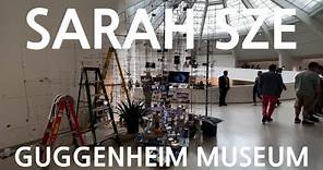 'SARAH SZE: Timelapse' at Guggenheim Museum HIGHLIGHT