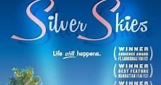 Silver Skies (2016) Online - Película Completa en Español / Castellano - FULLTV
