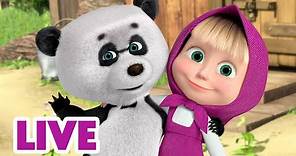 🔴 LIVE 📺 玛莎和熊 👱‍♀️🐻 我想你了！ ☺️ Masha and the Bear