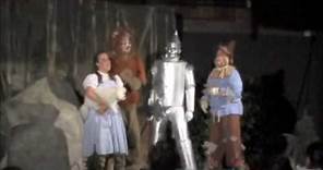Wizard of Oz - Cowardly Lion