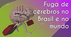 Fuga de cérebros no Brasil e no mundo - Brasil Escola