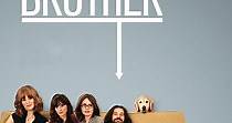 Our Idiot Brother streaming: where to watch online?